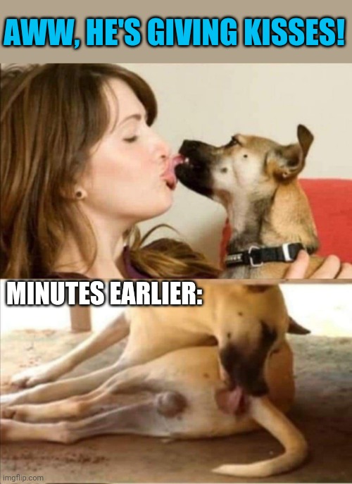 Dogs will be dogs... | AWW, HE'S GIVING KISSES! MINUTES EARLIER: | image tagged in dogs,kisses,licking,butthole,funny dogs | made w/ Imgflip meme maker