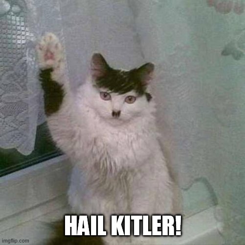 HAIL KITLER! | made w/ Imgflip meme maker