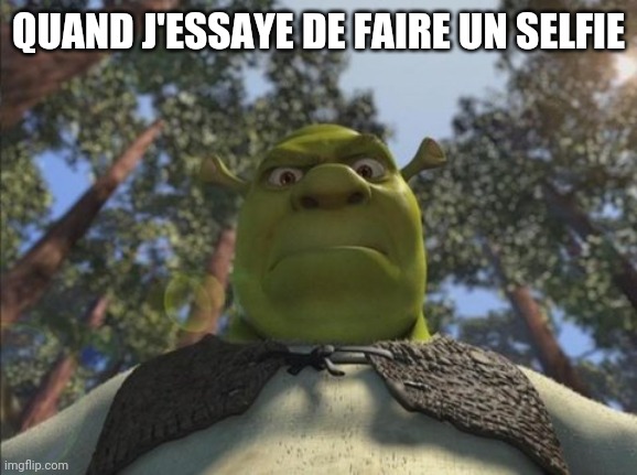 Swampy angry shrek | QUAND J'ESSAYE DE FAIRE UN SELFIE | image tagged in swampy angry shrek | made w/ Imgflip meme maker