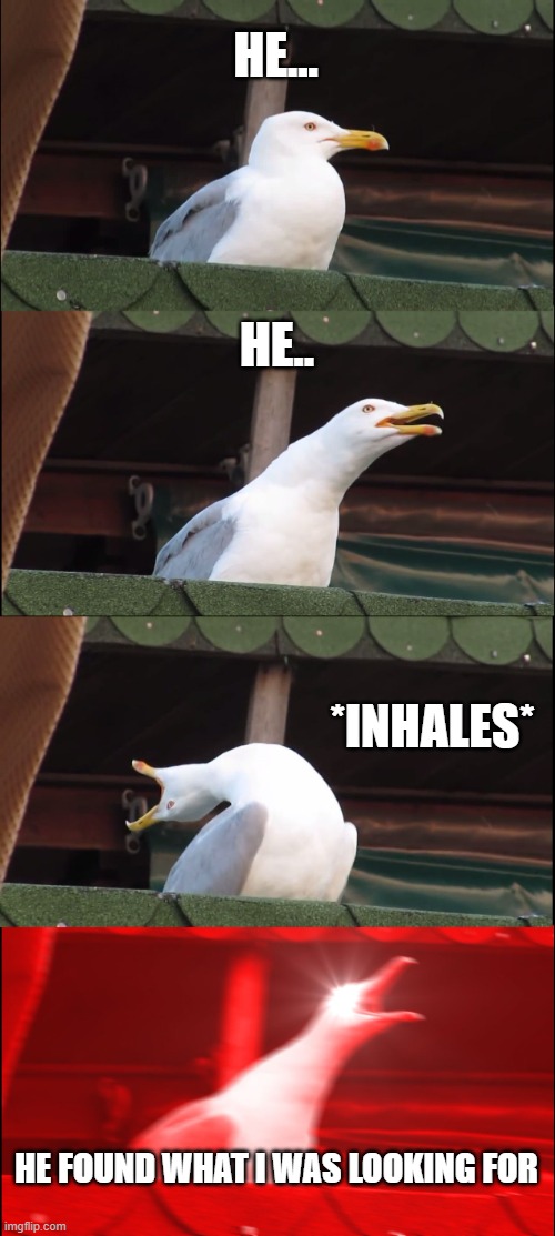 HE... HE.. *INHALES* HE FOUND WHAT I WAS LOOKING FOR | image tagged in memes,inhaling seagull | made w/ Imgflip meme maker