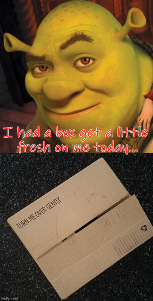 I was very gentle ... as usual. |  I had a box get a little 
fresh on me today... | image tagged in shrek sexy face,gentleman,box,turn | made w/ Imgflip meme maker