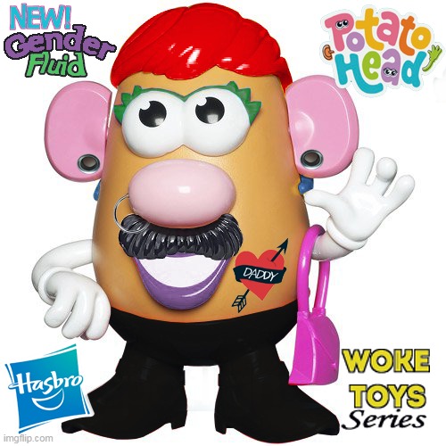 Gender Fluid Potato Head | image tagged in mr potato head,potato,transgender,toys | made w/ Imgflip meme maker