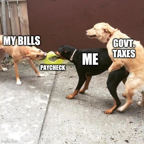 This Is My Life | MY BILLS PAYCHECK ME GOVT. TAXES | image tagged in this is my life | made w/ Imgflip meme maker