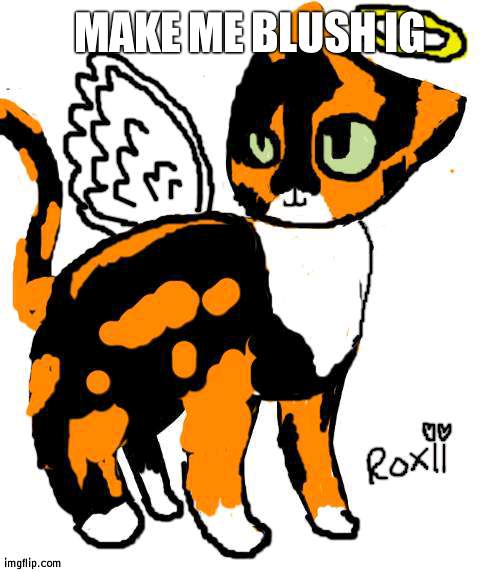 roxii | MAKE ME BLUSH IG | image tagged in roxii | made w/ Imgflip meme maker