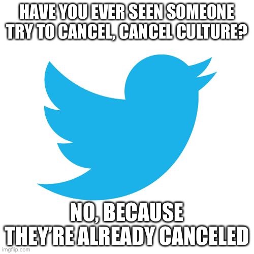 Please don’t cancel me | HAVE YOU EVER SEEN SOMEONE TRY TO CANCEL, CANCEL CULTURE? NO, BECAUSE THEY’RE ALREADY CANCELED | image tagged in twitter birds says,cancel culture,twitter,cancelled,memes,funny | made w/ Imgflip meme maker