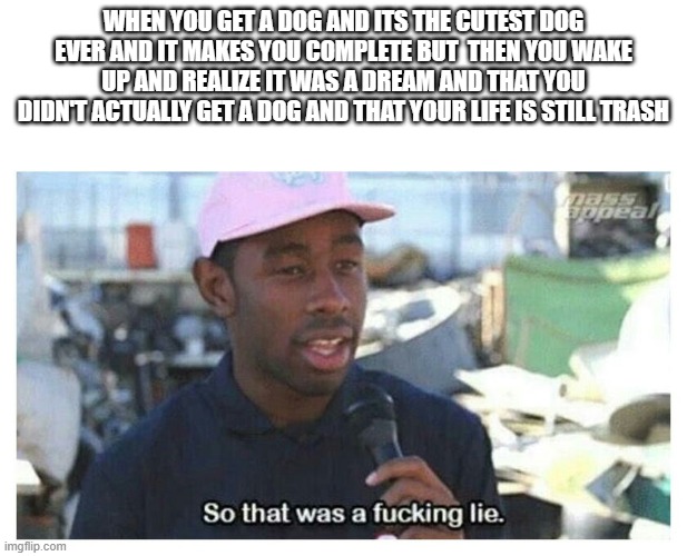 So That Was A F---ing Lie |  WHEN YOU GET A DOG AND ITS THE CUTEST DOG EVER AND IT MAKES YOU COMPLETE BUT  THEN YOU WAKE UP AND REALIZE IT WAS A DREAM AND THAT YOU DIDN'T ACTUALLY GET A DOG AND THAT YOUR LIFE IS STILL TRASH | image tagged in so that was a f---ing lie | made w/ Imgflip meme maker