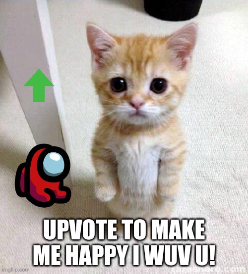 A Cat To make your day better | UPVOTE TO MAKE ME HAPPY I WUV U! | image tagged in memes,cute cat,upvotes | made w/ Imgflip meme maker