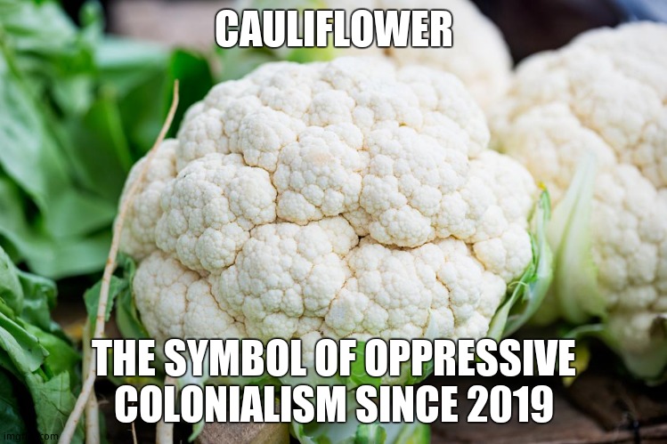 cauliflower | CAULIFLOWER THE SYMBOL OF OPPRESSIVE COLONIALISM SINCE 2019 | image tagged in cauliflower | made w/ Imgflip meme maker