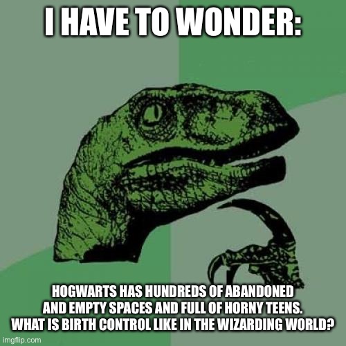hmmm | I HAVE TO WONDER:; HOGWARTS HAS HUNDREDS OF ABANDONED AND EMPTY SPACES AND FULL OF HORNY TEENS. WHAT IS BIRTH CONTROL LIKE IN THE WIZARDING WORLD? | image tagged in memes,funny,philosoraptor,harry potter | made w/ Imgflip meme maker
