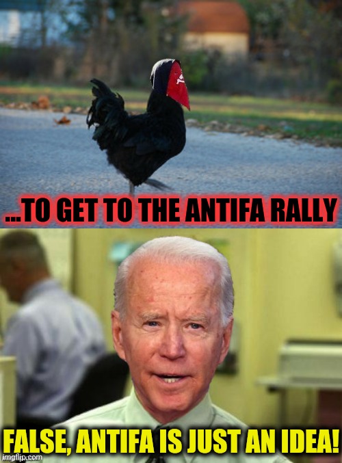 ...TO GET TO THE ANTIFA RALLY FALSE, ANTIFA IS JUST AN IDEA! | made w/ Imgflip meme maker