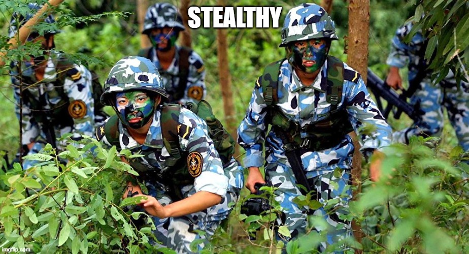 Wrong camo | STEALTHY | image tagged in wrong camo | made w/ Imgflip meme maker