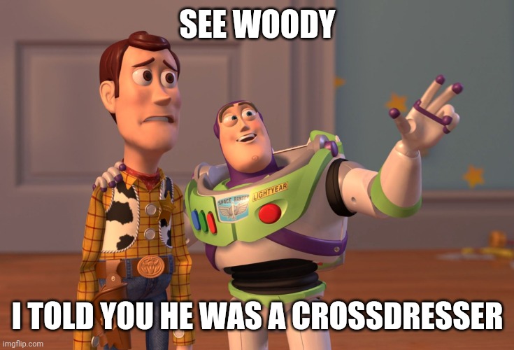 SEE WOODY I TOLD YOU HE WAS A CROSSDRESSER | image tagged in memes,x x everywhere | made w/ Imgflip meme maker