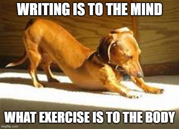 dog yoga writing | WRITING IS TO THE MIND; WHAT EXERCISE IS TO THE BODY | image tagged in dog,yoga,writing,exercise | made w/ Imgflip meme maker