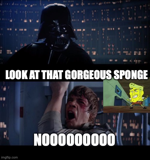 songe bob | LOOK AT THAT GORGEOUS SPONGE; NOOOOOOOOO | image tagged in memes,star wars no | made w/ Imgflip meme maker