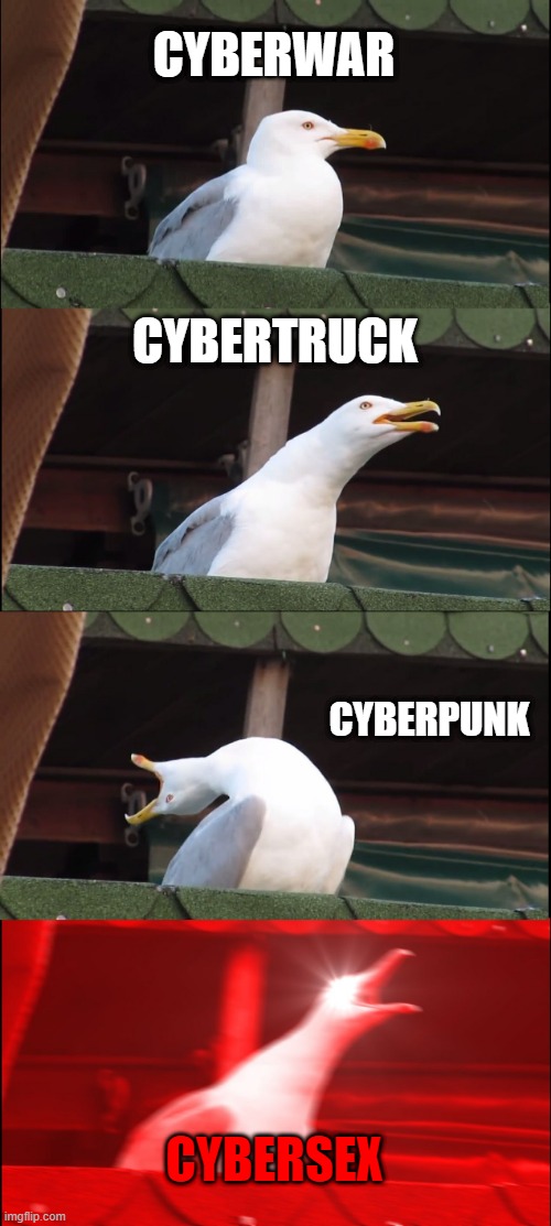 C Y B E R | CYBERWAR; CYBERTRUCK; CYBERPUNK; CYBERSEX | image tagged in memes,inhaling seagull,cybertruck,cyberpunk | made w/ Imgflip meme maker