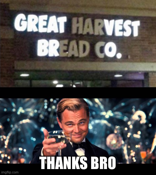 THANKS BRO | image tagged in lionardo dicaprio thank you | made w/ Imgflip meme maker