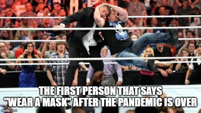 Stunner | THE FIRST PERSON THAT SAYS "WEAR A MASK" AFTER THE PANDEMIC IS OVER | image tagged in stunner | made w/ Imgflip meme maker