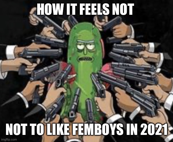 Pickle Rick Guns | HOW IT FEELS NOT; NOT TO LIKE FEMBOYS IN 2021 | image tagged in pickle rick guns | made w/ Imgflip meme maker