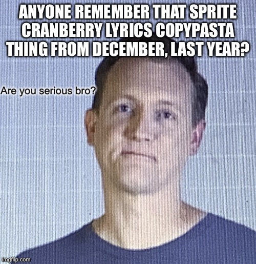Are you serious bro? | ANYONE REMEMBER THAT SPRITE CRANBERRY LYRICS COPYPASTA THING FROM DECEMBER, LAST YEAR? | image tagged in are you serious bro | made w/ Imgflip meme maker