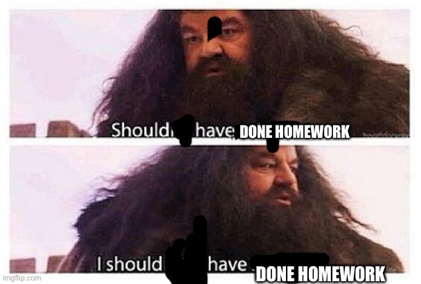 Hagrid shouldn't have said that | DONE HOMEWORK DONE HOMEWORK | image tagged in hagrid shouldn't have said that | made w/ Imgflip meme maker