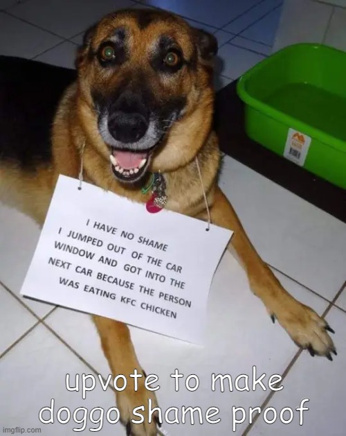 upvote to make doggo shame proof | image tagged in dog,chicken,kfc | made w/ Imgflip meme maker