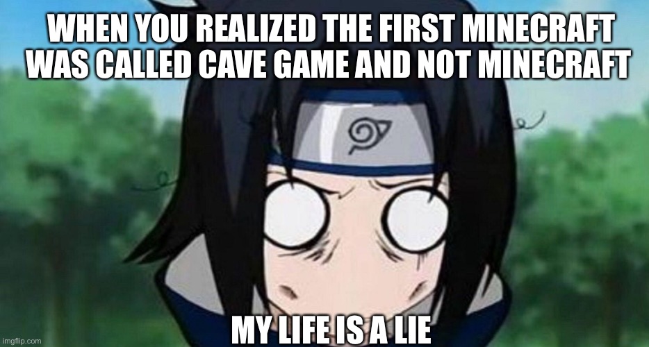 WHEN YOU REALIZED THE FIRST MINECRAFT WAS CALLED CAVE GAME AND NOT MINECRAFT; MY LIFE IS A LIE | image tagged in put it somewhere else patrick | made w/ Imgflip meme maker