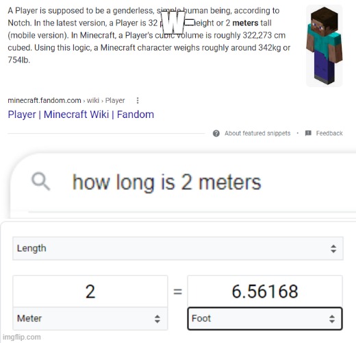 what | w- | image tagged in minecraft steve,minecraft | made w/ Imgflip meme maker