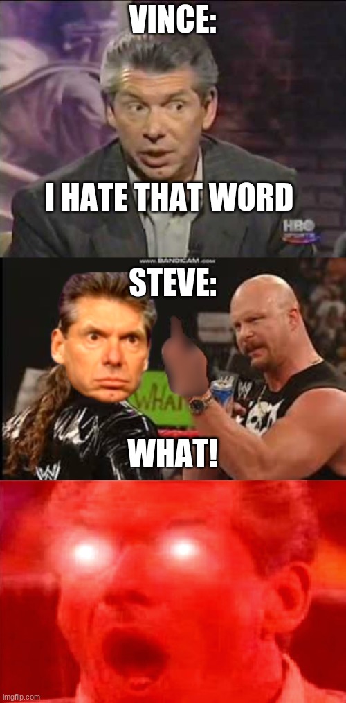 He hates that word! | VINCE:; I HATE THAT WORD; STEVE:; WHAT! | image tagged in vince mcmahon,stone cold steve austin,wwe,mr mcmahon,what | made w/ Imgflip meme maker