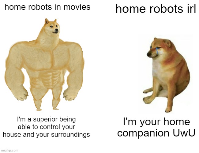 Robots in movies vs Robots irl | home robots in movies; home robots irl; I'm a superior being able to control your house and your surroundings; I'm your home companion UwU | image tagged in memes,buff doge vs cheems | made w/ Imgflip meme maker