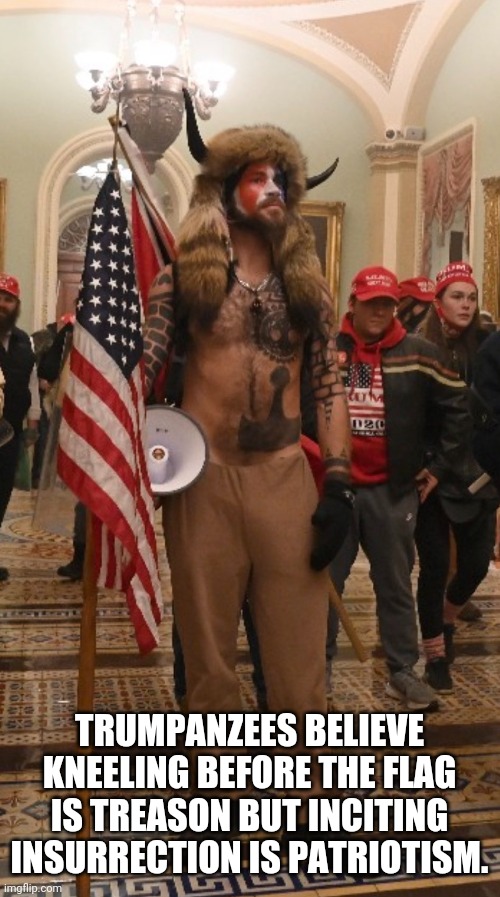Capitol Hill rioter | TRUMPANZEES BELIEVE KNEELING BEFORE THE FLAG IS TREASON BUT INCITING INSURRECTION IS PATRIOTISM. | image tagged in capitol hill rioter | made w/ Imgflip meme maker