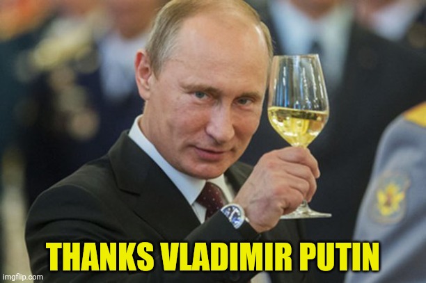 Putin Cheers | THANKS VLADIMIR PUTIN | image tagged in putin cheers | made w/ Imgflip meme maker