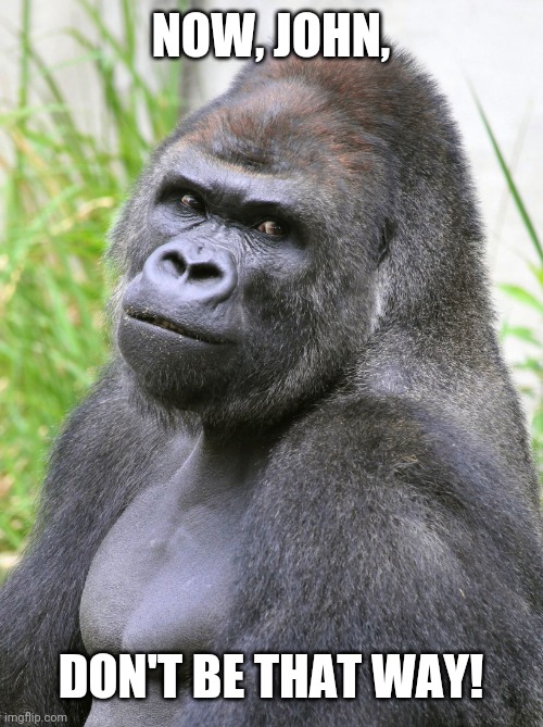 Hot Gorilla  | NOW, JOHN, DON'T BE THAT WAY! | image tagged in hot gorilla | made w/ Imgflip meme maker