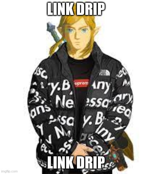 link drip | LINK DRIP; LINK DRIP | image tagged in link drip | made w/ Imgflip meme maker