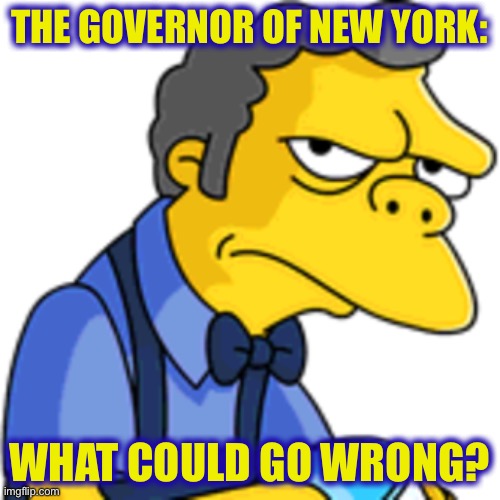 THE GOVERNOR OF NEW YORK:; WHAT COULD GO WRONG? | image tagged in andrew cuomo,cuomo,memes,not funny | made w/ Imgflip meme maker