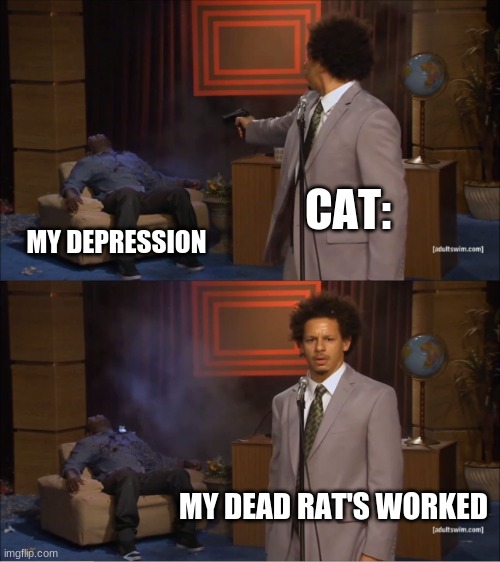 CAT | CAT:; MY DEPRESSION; MY DEAD RAT'S WORKED | image tagged in memes,who killed hannibal | made w/ Imgflip meme maker