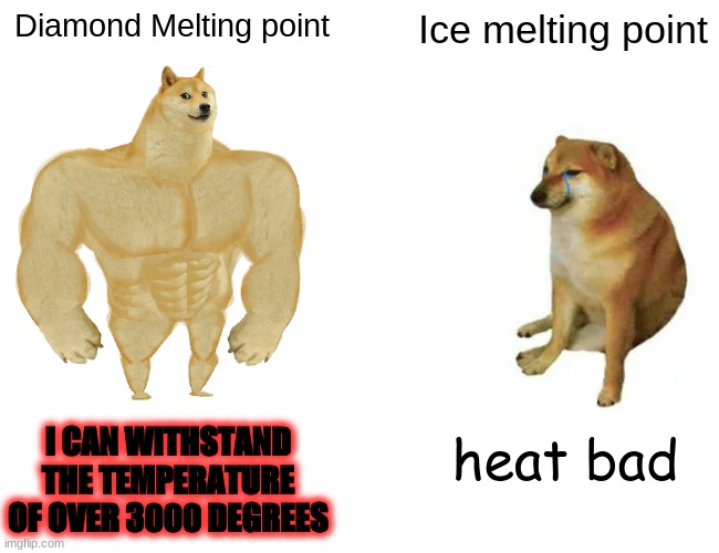 The more you know | Diamond Melting point; Ice melting point; I CAN WITHSTAND THE TEMPERATURE OF OVER 3000 DEGREES; heat bad | image tagged in memes,buff doge vs cheems,science,chemistry | made w/ Imgflip meme maker