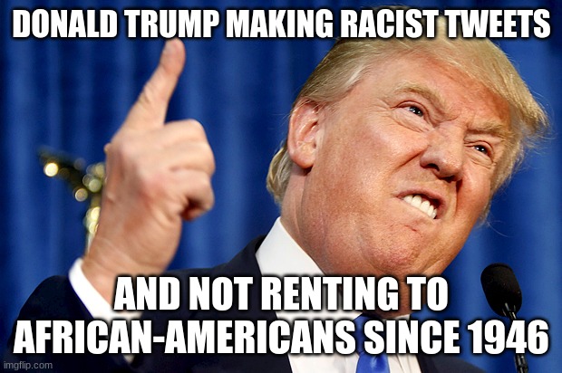 Donald Trump | DONALD TRUMP MAKING RACIST TWEETS AND NOT RENTING TO AFRICAN-AMERICANS SINCE 1946 | image tagged in donald trump | made w/ Imgflip meme maker