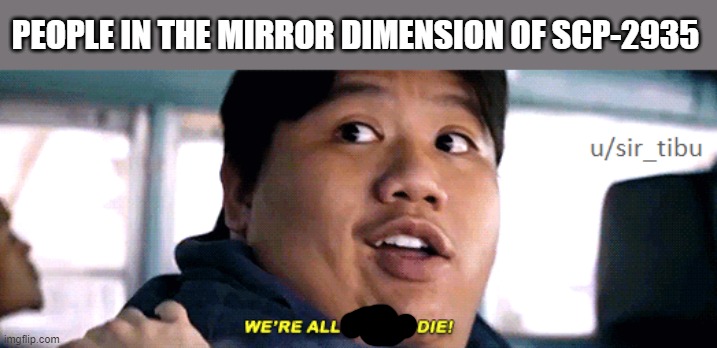 lol | PEOPLE IN THE MIRROR DIMENSION OF SCP-2935 | image tagged in were all going to die | made w/ Imgflip meme maker
