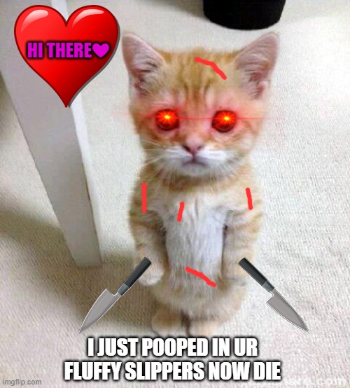 Why is this kitty a murderer if she is so cute... | HI THERE❤; I JUST POOPED IN UR FLUFFY SLIPPERS NOW DIE | image tagged in memes,cute cat,murderer,kitty,evil cat | made w/ Imgflip meme maker