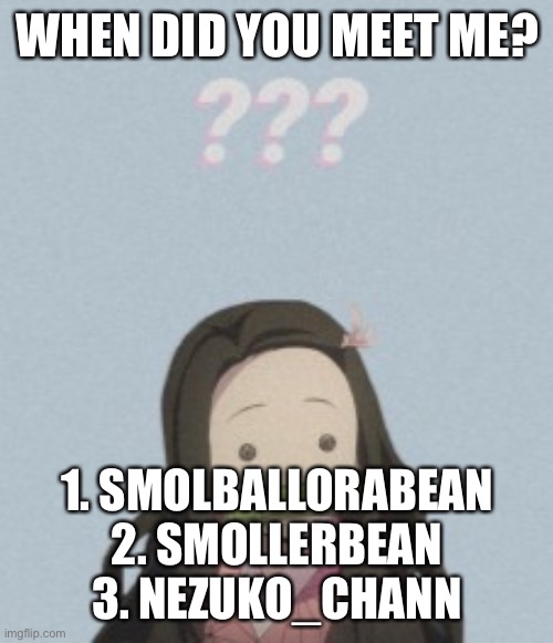 Confussled | WHEN DID YOU MEET ME? 1. SMOLBALLORABEAN
2. SMOLLERBEAN
3. NEZUKO_CHANN | image tagged in confussled | made w/ Imgflip meme maker