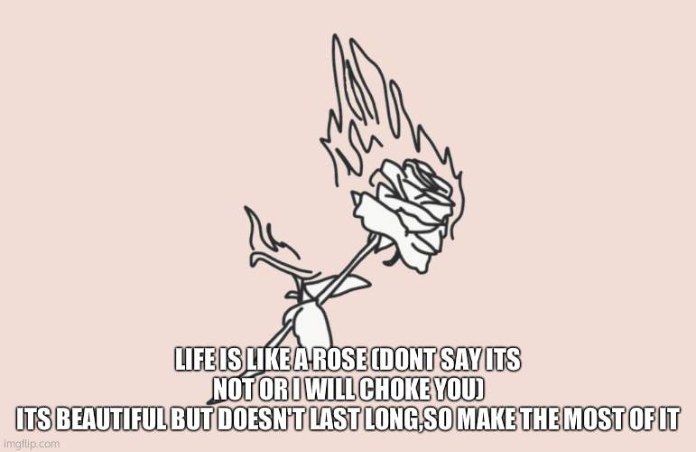 burning rose | LIFE IS LIKE A ROSE (DONT SAY ITS NOT OR I WILL CHOKE YOU)
ITS BEAUTIFUL BUT DOESN'T LAST LONG,SO MAKE THE MOST OF IT | image tagged in burning rose | made w/ Imgflip meme maker
