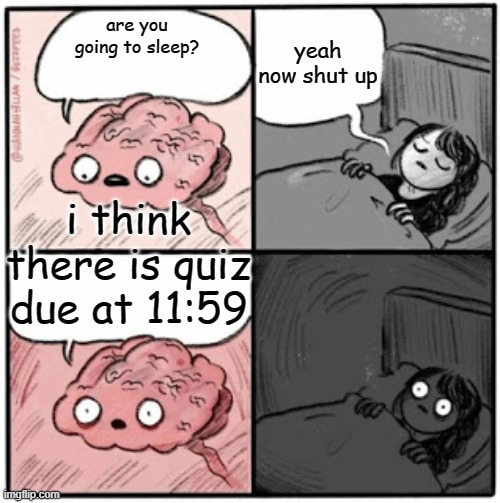 Brain Before Sleep | yeah now shut up; are you going to sleep? i think there is quiz due at 11:59 | image tagged in brain before sleep | made w/ Imgflip meme maker