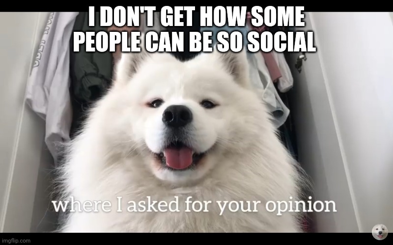 Doggo who asked | I DON'T GET HOW SOME PEOPLE CAN BE SO SOCIAL | image tagged in doggo who asked | made w/ Imgflip meme maker