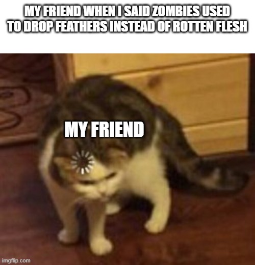 its True tho.. | MY FRIEND WHEN I SAID ZOMBIES USED TO DROP FEATHERS INSTEAD OF ROTTEN FLESH; MY FRIEND | image tagged in loading cat | made w/ Imgflip meme maker