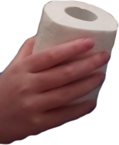 Toilet paper Blank Meme Template