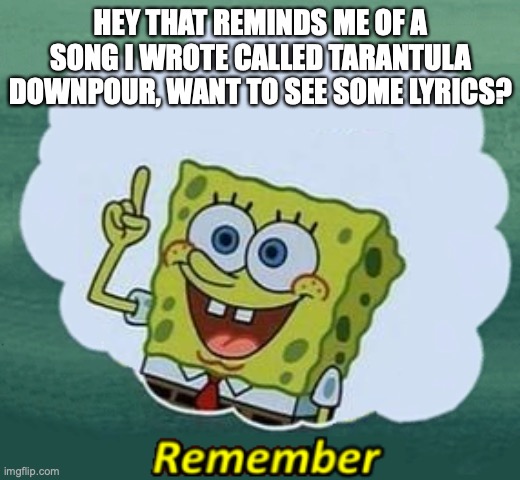 Remember | HEY THAT REMINDS ME OF A SONG I WROTE CALLED TARANTULA DOWNPOUR, WANT TO SEE SOME LYRICS? | image tagged in remember | made w/ Imgflip meme maker