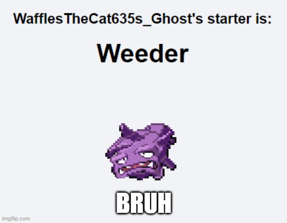 BRUH | image tagged in pokemon,cursed image | made w/ Imgflip meme maker