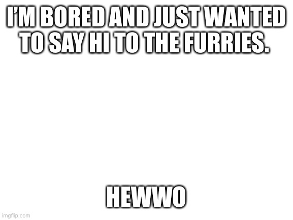 Blank White Template | I’M BORED AND JUST WANTED TO SAY HI TO THE FURRIES. HEWWO | image tagged in blank white template | made w/ Imgflip meme maker