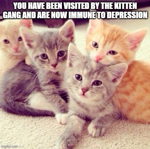 Cute Kitten Group | YOU HAVE BEEN VISITED BY THE KITTEN GANG AND ARE NOW IMMUNE TO DEPRESSION | image tagged in cute kitten group | made w/ Imgflip meme maker