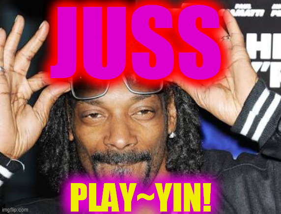 Snoop dogg likes | JUSS PLAY~YIN! | image tagged in snoop dogg likes | made w/ Imgflip meme maker